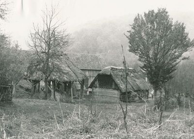 Tomašnica (Ozalj) - Okućnica