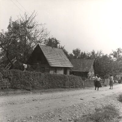 Kozjača - Tradicijska kuća, ulično pročelje