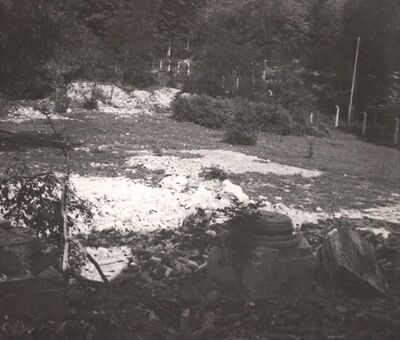 Januševec - Dvorac Januševec, ruševine portika