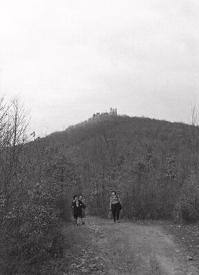 Oštrc - Konzervatori na terenu