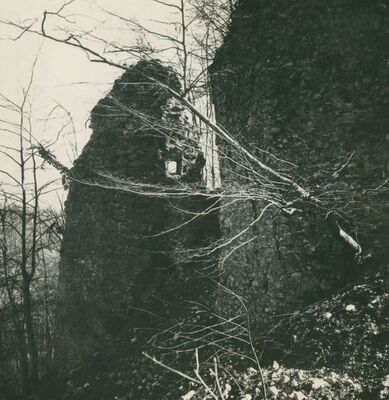Zelingrad - Stari grad Zelingrad, ulazna i obrambena kula