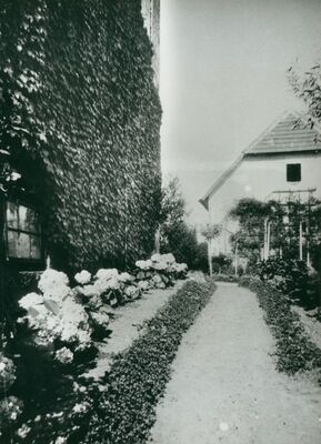 Gradec - Biskupski dvorac, dio parka