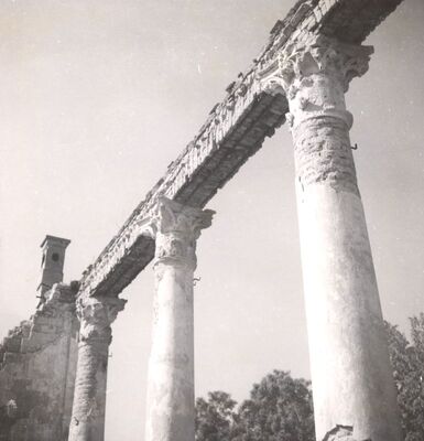 Januševec - Dvorac Januševec, kolumne terase