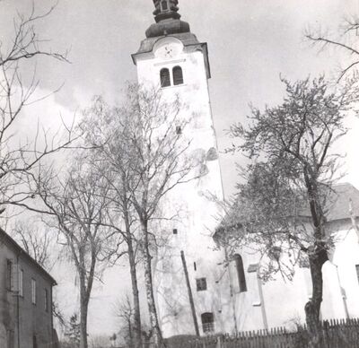 Vrbovec - Crkva sv. Vida, svetište i zvonik