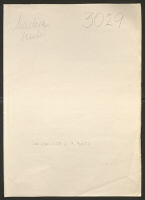 Masleša, Veselin, 7.4.1906. Policijski karton