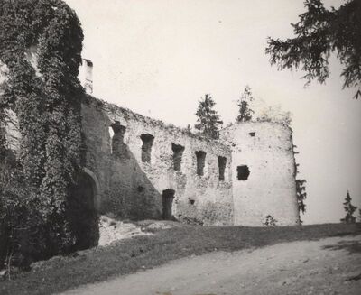 Novigrad na Dobri - Grad Frankopana