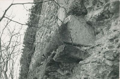 Vinica Breg (Vinica) - ruševine srednjovjekovnog grada