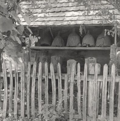 Donji Hruševec - Pčelinjak