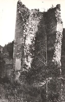 Samobor - Stari grad, kula