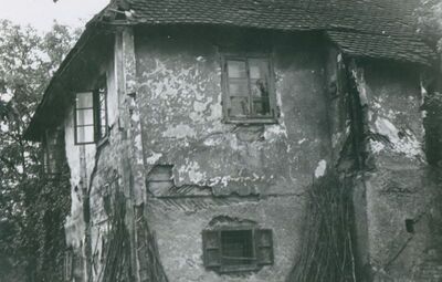 Vukovina - Kurija Alapić, detalj zapadnog pročelja