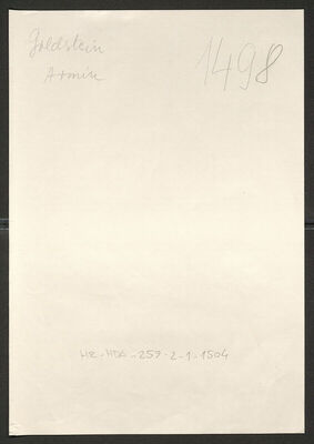 Goldstein, Armin, 17.12.1891. Policijski karton