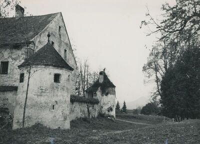 Bela (Novi Marof) - dvor I