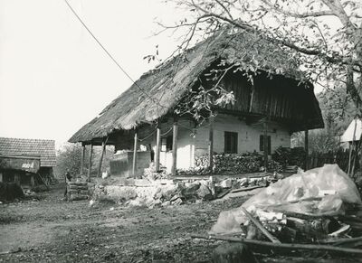 Jasenovica (Ribnik) - Tradicijska kuća, uže i dulje pročelje