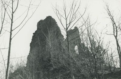 Vojnovec Loborski (Lobor) - Burg, ruševina