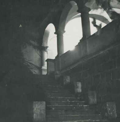 Trakošćan - oranžerija