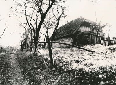 Griče (Ribnik) - Tradicijska kuća, uže i dulje pročelje