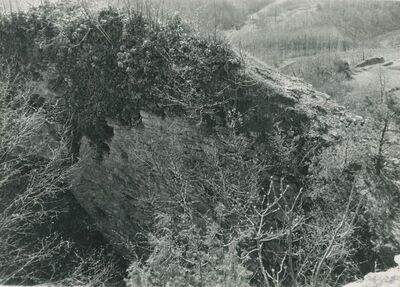 Vinica Breg (Vinica) - ruševine srednjovjekovnog grada