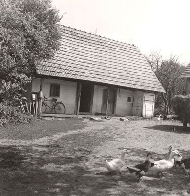 Ribnica - Tradicijska kuća, ulazno pročelje