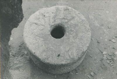 Bela (Novi Marof) - dvor I