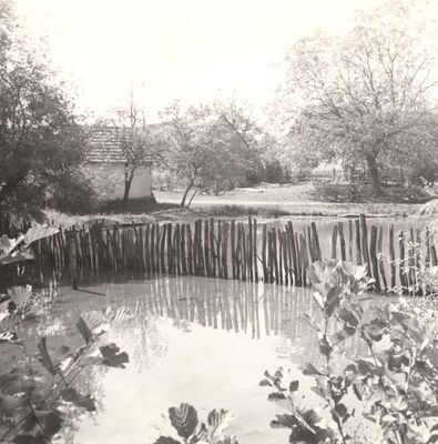 Ribnica - Bara s provizornom branom