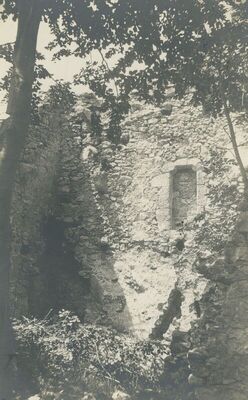 Grtovec (Budinščina) - Stari grad Milengrad, unutrašnjost, detalj