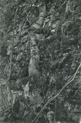 Vinica Breg (Vinica) - ruševine srednjovjekovnog grada