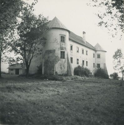 Bela (Novi Marof) - dvor