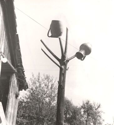 Gudci - Grana s ćupovima