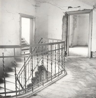 Dugo Selo - Dvorac Drašković, stubište s ogradom