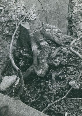 Zelingrad - Stari grad Zelingrad, ulazna kula