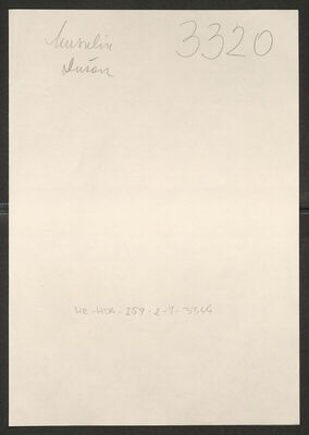 Musulin, Dušan, 12.8.1919. Policijski karton