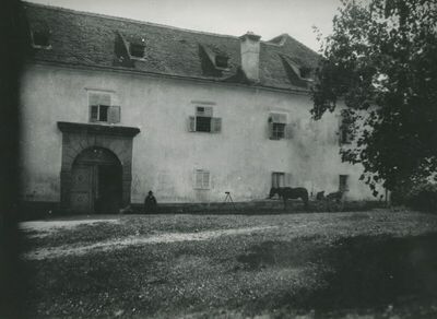 Velika Horvatska (Desinić) - Dvor Palffy - Erdödya, vanjština, detalj