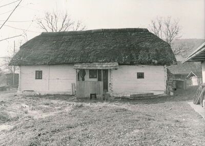 Jarnevići (Ribnik) - Tradicijska kuća, istočno pročelje