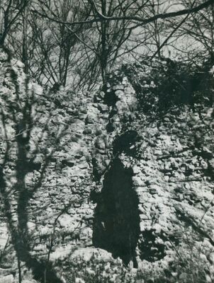 Zelingrad - Stari grad Zelingrad, unutrašnjost stambene kule