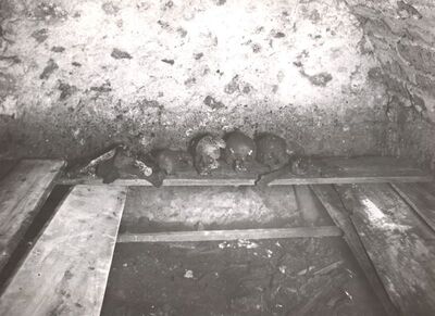 Samobor - Franjevačka crkva Uznesenja Blažene Djevice Marije, grobnica