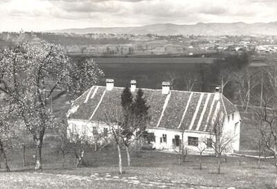 Kraj Donji - Kurija, sjeveroistočno pročelje