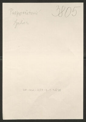 Praporčetović, Ljubiša, 21.12.1874. Policijski karton