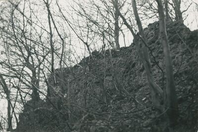 Vinica Breg (Vinica)- ruševine srednjovjekovnog grada