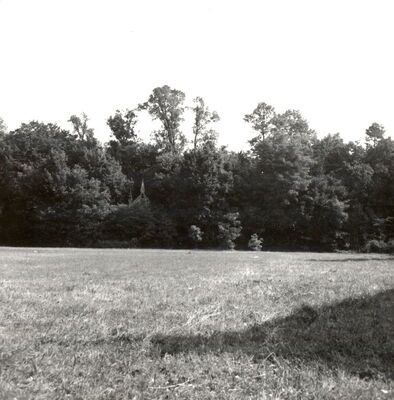 Zaprešić - Kompleks Novi Dvori, park uz dvor