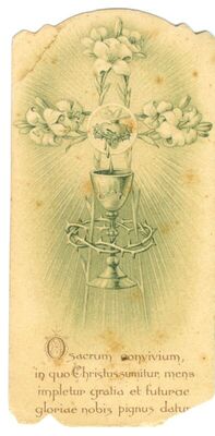 Uspomena na mladu misu mladomisnika isusovca Ivana Štefanca (1892. - ?)