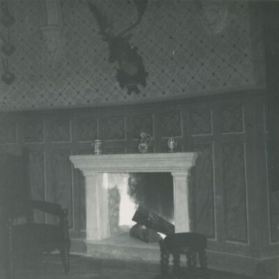 Trakošćan - dvorac, kamin u lovačkoj sobi