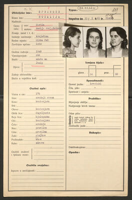 Springer, Rozalija, 1909. Policijski karton