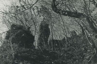 Vojnovec Loborski (Lobor) - Burg, ruševina