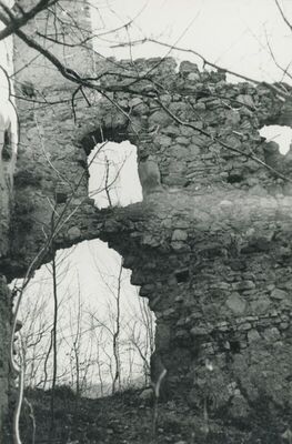 Vojnovec Loborski (Lobor) - Burg, ruševina