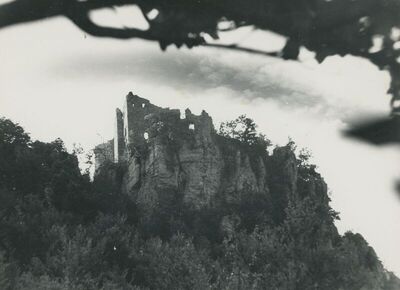 Grtovec (Budinščina) - Srednjovjekovni grad Milengrad, total