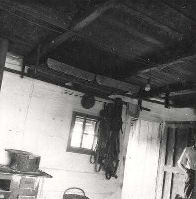 Donji Hruševec - "Lese"