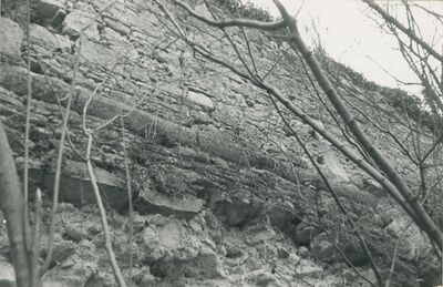 Vinica Breg (Vinica) - ruševine srednjovjekovnog grada