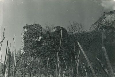 Vinica Breg (Vinica) - ruševine srednjovjekovnog grada
