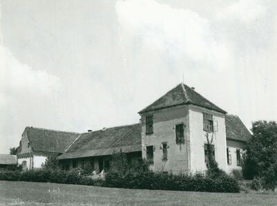 Sveta Helena - Kurija Adamović - Hellenbach - Mikšić, total