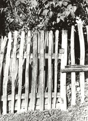 Veleševec - Detalj ograde, vrata